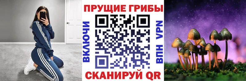 Купить закладки  Учалы  Галлюциногенные грибы мухоморы 